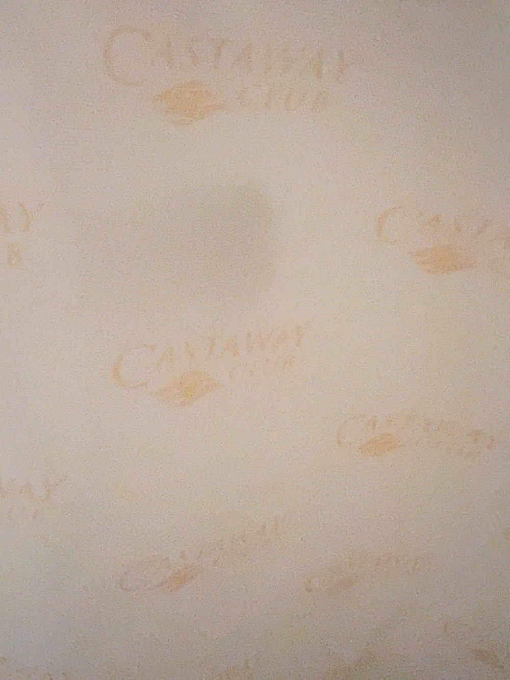 Disney Cruise Line Wish Castaway Club Inaugural Sailings Captain Mickey tote - Picture 5 of 8